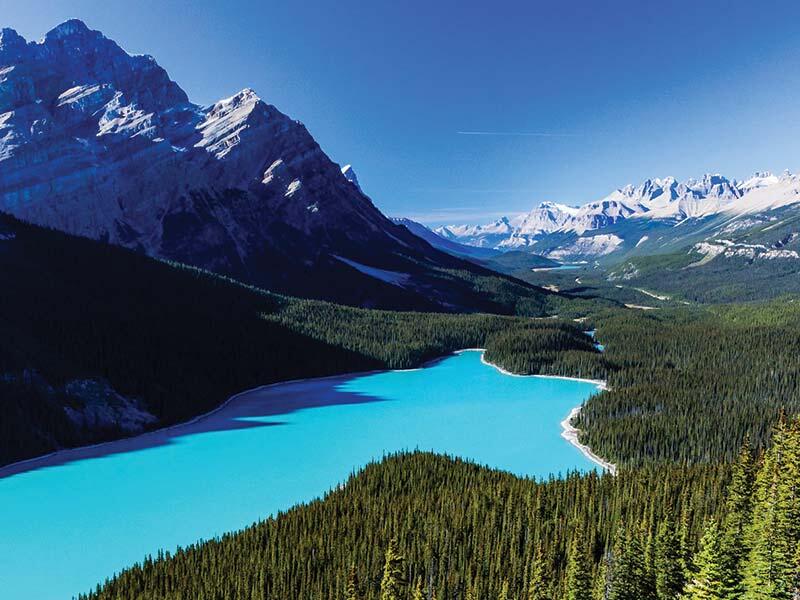 Cordillera Azul National Park, Peru
